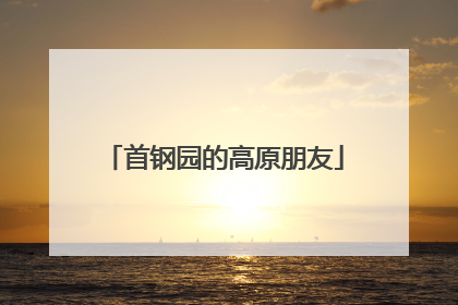 首钢园的高原朋友