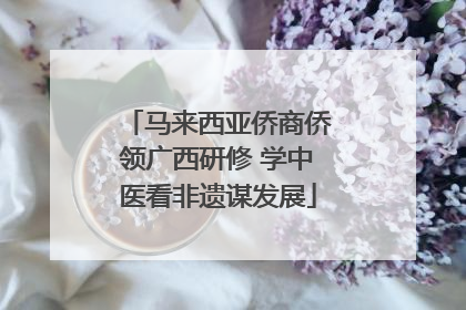 马来西亚侨商侨领广西研修 学中医看非遗谋发展