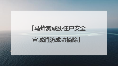 马蜂窝威胁住户安全 宣城消防成功摘除