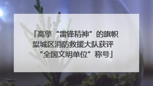 高擎“雷锋精神”的旗帜 望城区消防救援大队获评“全国文明单位”称号