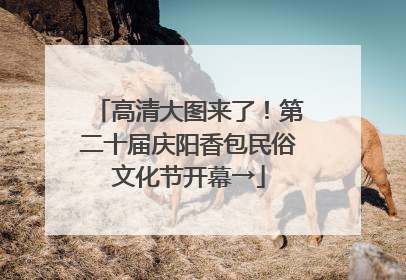 高清大图来了！第二十届庆阳香包民俗文化节开幕→