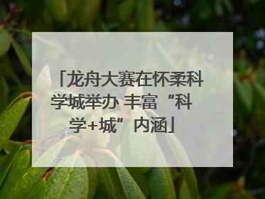 龙舟大赛在怀柔科学城举办 丰富“科学+城”内涵