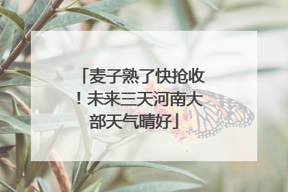 麦子熟了快抢收！未来三天河南大部天气晴好