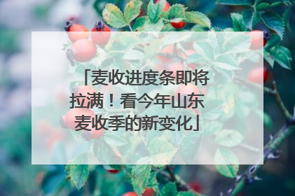 麦收进度条即将拉满！看今年山东麦收季的新变化