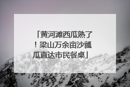黄河滩西瓜熟了！梁山万余亩沙瓤瓜直达市民餐桌