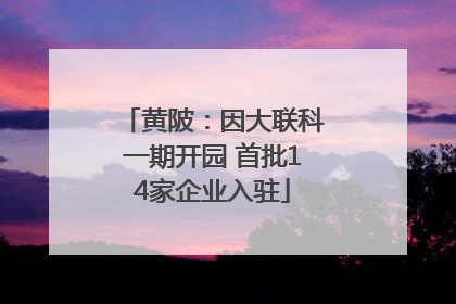 黄陂：因大联科一期开园 首批14家企业入驻
