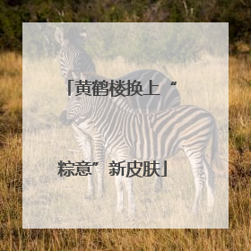 黄鹤楼换上“粽意”新皮肤