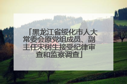 黑龙江省绥化市人大常委会原党组成员、副主任宋树生接受纪律审查和监察调查