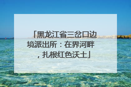 黑龙江省三岔口边境派出所：在界河畔，扎根红色沃土