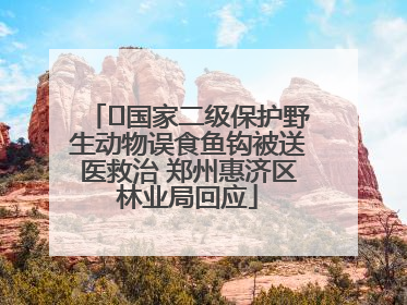 ﻿国家二级保护野生动物误食鱼钩被送医救治 郑州惠济区林业局回应