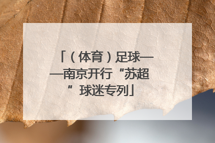 （体育）足球——南京开行“苏超”球迷专列