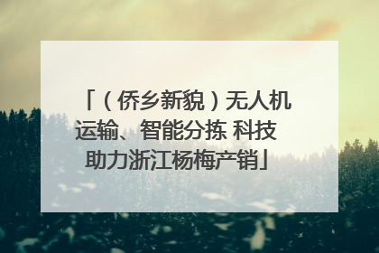 （侨乡新貌）无人机运输、智能分拣 科技助力浙江杨梅产销