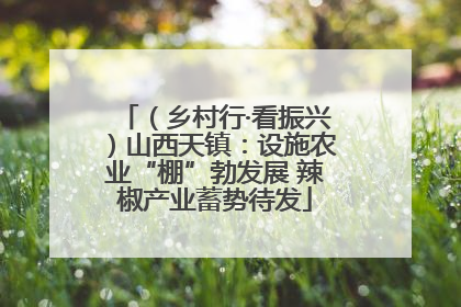 （乡村行·看振兴）山西天镇：设施农业“棚”勃发展 辣椒产业蓄势待发