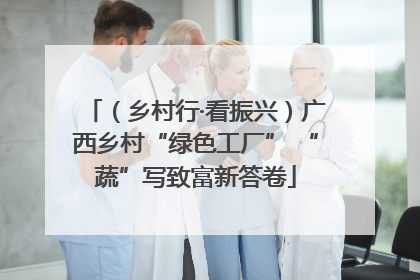（乡村行·看振兴）广西乡村“绿色工厂” “蔬”写致富新答卷