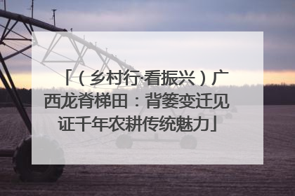 （乡村行·看振兴）广西龙脊梯田：背篓变迁见证千年农耕传统魅力