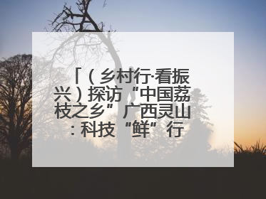 （乡村行·看振兴）探访“中国荔枝之乡”广西灵山：科技“鲜”行 实“荔”C位