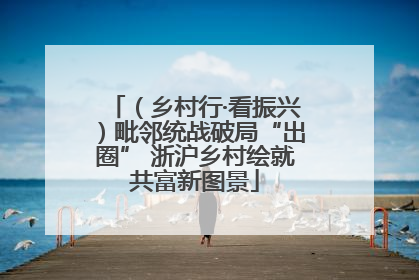 （乡村行·看振兴）毗邻统战破局“出圈” 浙沪乡村绘就共富新图景