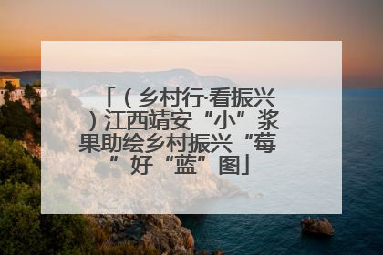 （乡村行·看振兴）江西靖安“小”浆果助绘乡村振兴“莓”好“蓝”图