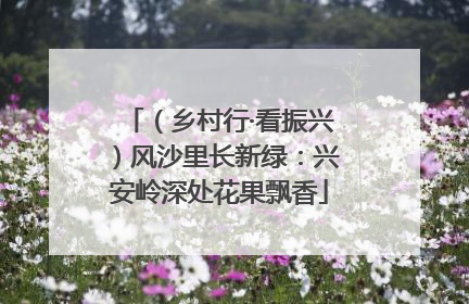 （乡村行·看振兴）风沙里长新绿：兴安岭深处花果飘香