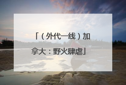 （外代一线）加拿大：野火肆虐