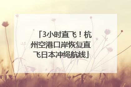 3小时直飞！杭州空港口岸恢复直飞日本冲绳航线