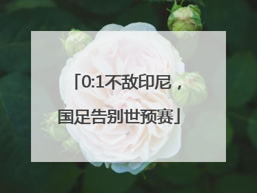 0:1不敌印尼，国足告别世预赛