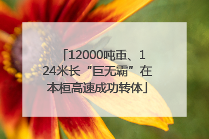 12000吨重、124米长“巨无霸”在本桓高速成功转体