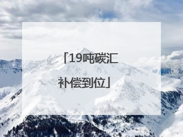 19吨碳汇补偿到位