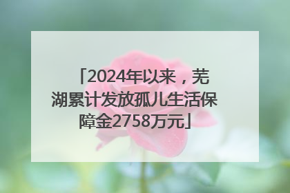 2024年以来，芜湖累计发放孤儿生活保障金2758万元