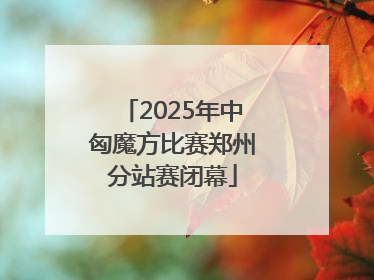 2025年中匈魔方比赛郑州分站赛闭幕