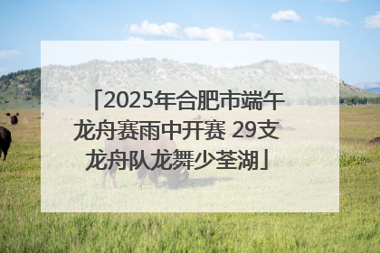 2025年合肥市端午龙舟赛雨中开赛 29支龙舟队龙舞少荃湖