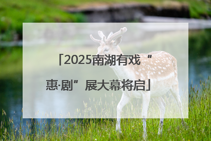 2025南湖有戏“惠·剧”展大幕将启