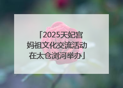 2025天妃宫妈祖文化交流活动在太仓浏河举办