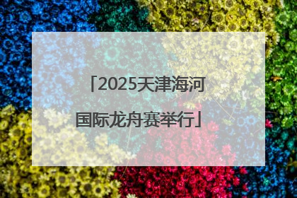 2025天津海河国际龙舟赛举行