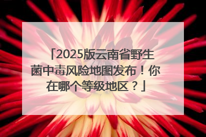 2025版云南省野生菌中毒风险地图发布！你在哪个等级地区？
