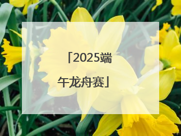 2025端午龙舟赛