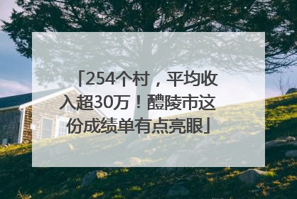 254个村，平均收入超30万！醴陵市这份成绩单有点亮眼