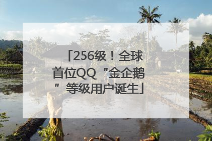 256级！全球首位QQ“金企鹅”等级用户诞生