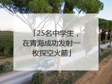 25名中学生，在青海成功发射一枚探空火箭