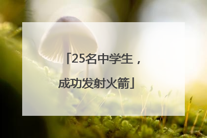 25名中学生，成功发射火箭