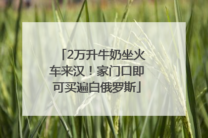 2万升牛奶坐火车来汉！家门口即可买遍白俄罗斯