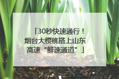 30秒快速通行！烟台大樱桃搭上山东高速“鲜速通道”