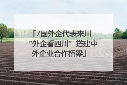 7国外企代表来川 “外企看四川”搭建中外企业合作桥梁