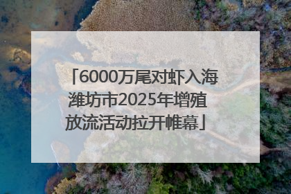 6000万尾对虾入海 潍坊市2025年增殖放流活动拉开帷幕