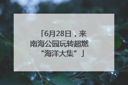 6月28日，来南海公园玩转超燃 “海洋大集”