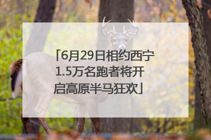 6月29日相约西宁 1.5万名跑者将开启高原半马狂欢