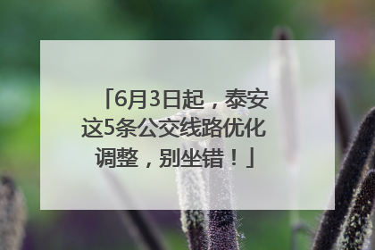 6月3日起，泰安这5条公交线路优化调整，别坐错！