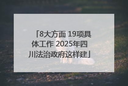 8大方面 19项具体工作 2025年四川法治政府这样建