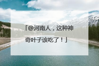 @河南人，这种神奇叶子该吃了！