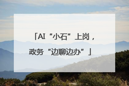 AI“小石”上岗，政务“边聊边办”